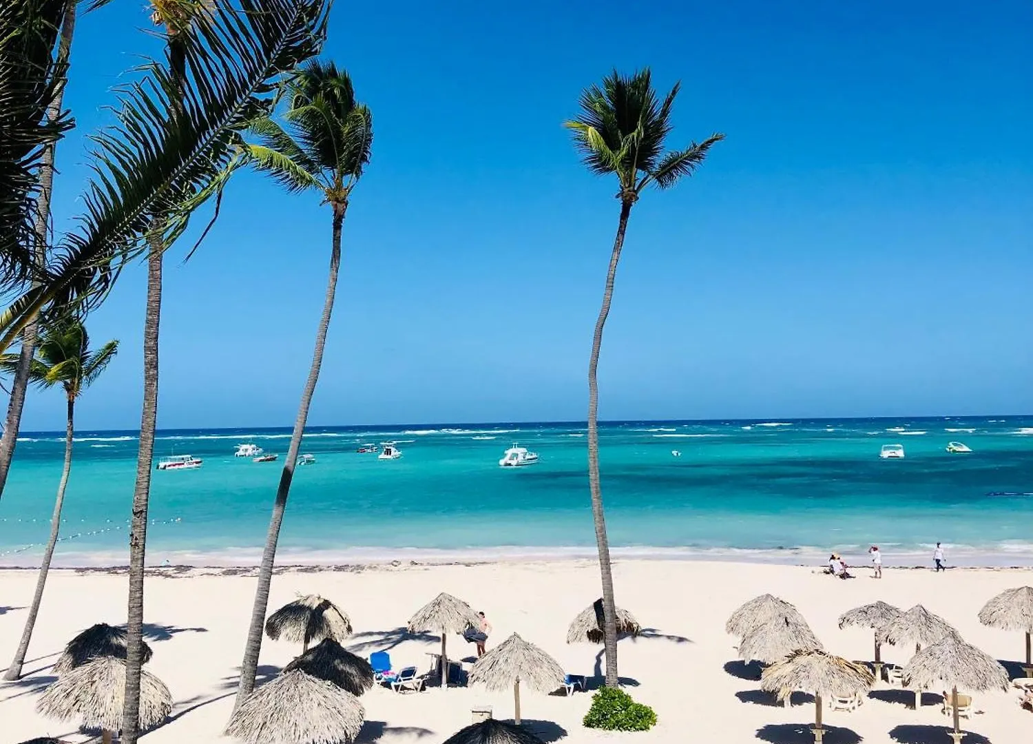 Ducassi Rooftop Pool Suites Beach Club And Spa Punta Cana 0*,